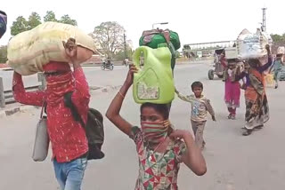 लुपिन संस्था ने बांटा खाना, Lupine institution distributed food