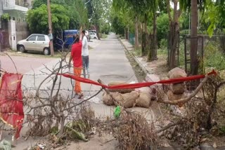 buffer zone of panchkula