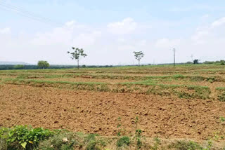 no-rain-in-mysore-area