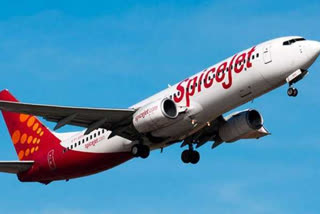 spicejet