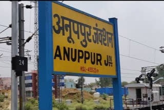 Anuppur Railway issued helpline numbers to parcel the goods