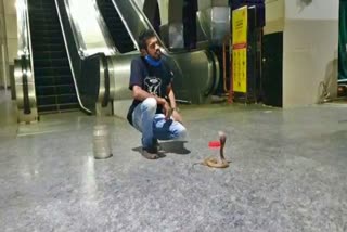 snake in mysore railway station