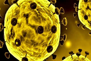 corona virus case in jharkhand