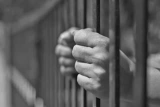 Govt panel decides to release 50 pc prisoners from Maharashtra jails