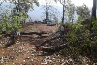 Villagers cutting trees and blocking  road in Kawardha