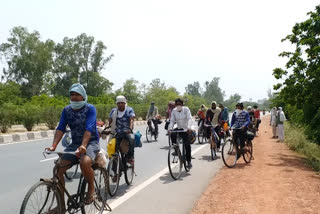 bharatpur news, rajasthan news,  etvbharat news,  bicycles in bharatpur,  Migrant laborers,  lockdown in rajasthan,  साइकिल से गए मजदूर, भरतपुर में प्रवासी मजदूर,  भरतपुर में कोरोनावायरस