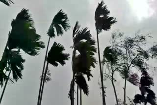 Golaghat thunderstorm one dead assam etv bharat news