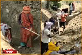 MNREGA work started in dholpur, 220 rupees wages in MNREGA