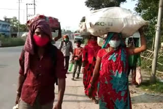 migrant labourers are returning to Hematabad walking for 10   days from Rajasthan