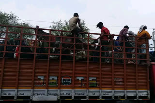 Workers are coming in large numbers from Maharashtra