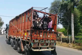Workers being transported from Mumbai to Allahabad truck in harda