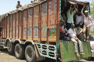 57 Migrants Packed In Truck Paid Rs 3,000 Each. Driver Wants More Riders