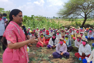 MLA Laxmi Hebbalkar celebrates birthday with Narega workers