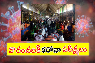 koyambedu market effect on ap