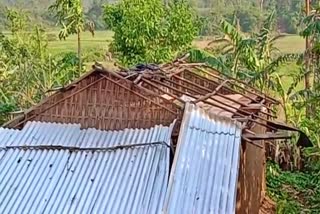 massive damage by hailstorm and storm in hojai