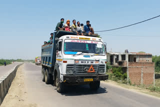 ट्रकों में बैठकर घर जाते प्रवासी मजदूर