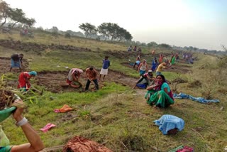 one-lakh-laborers-got-employment-under-mnrega-in-kawardha