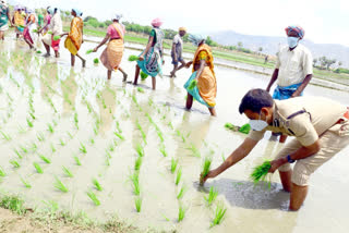 tirupathi urban sp as farmer