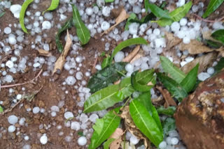 hailstorm in Dindori