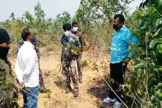 girl dead body found in latehar, Woman killed in Latehar, news of Latehar police, news of crime in Latehar, murder in Latehar, लातेहार में युवती की हत्या, लातेहार पुलिस से जुड़ी खबरें, लातेहार में अपराध की खबर, लातेहार में हत्या