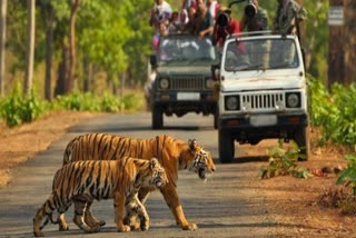 Corbett National Park