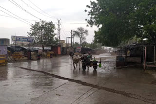 झालावाड़ की खबर, rainfall in jhalawar