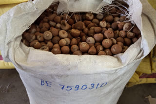 areca nut import illegally in krishnapatnam port
