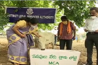 Adilabad District Judge Priyadarshini watered and fed the cows due to lock down