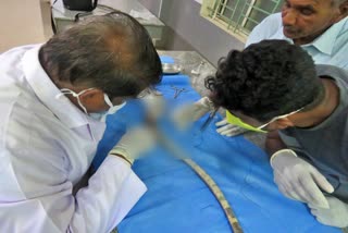 forest-department-doctor-made-surgery-to-wounded-snake