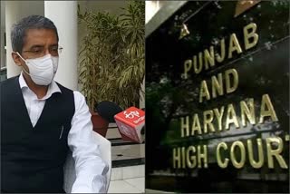 punjab-haryana hc