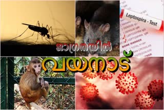 wayanad dengue and Leptospirosis വയനാട്ടിൽ ഡെങ്കിപ്പനിയും എലിപ്പനിയും വയനാട് കൊവിഡ് കുരങ്ങുപനി