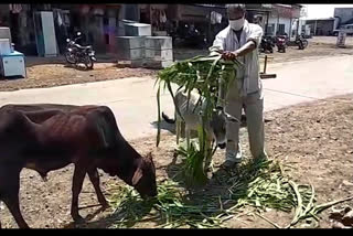 person in Sehore is setting the example of humanity