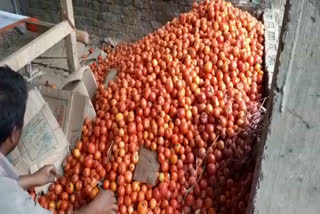 Tomato farmers suffer loss due to lockdown