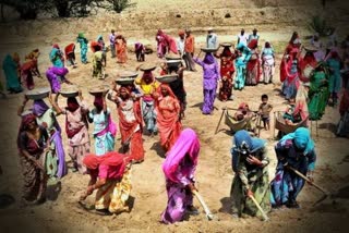 MGNREGA Support