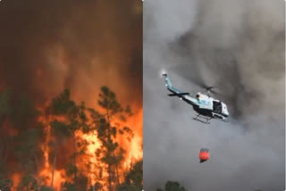 Wildfires shut stretch of Interstate 75 in Florida