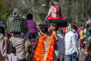Free food grains supply to migrants for 2 months: Sitharaman