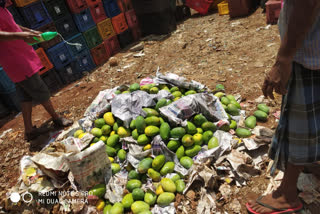 kottakkal mangos കോട്ടക്കലിൽ രാസവസ്‌തുക്കൾ കോട്ടക്കലിൽ മാമ്പഴം