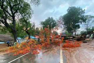 Traffic disrupted due to falling of trees on National Highway