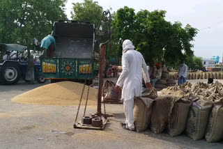 رقم کی ادائیگی میں تاخیر سے کسان پریشان