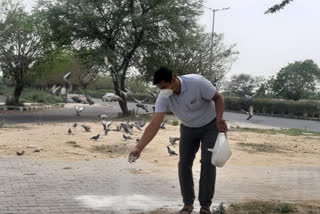 Volunteers of Najafgarh Gopal Nagar put paddy-water for birds