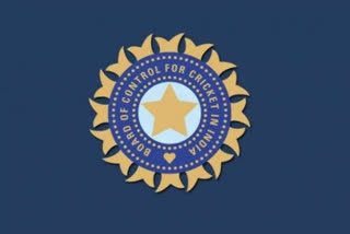 BCCI, BCCI Logo