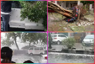 In Delhi, the trees fall due to hailstorm and strong winds with torrential rain