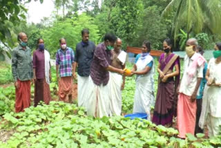 organic farming news  palakkad latest news  പാലക്കാട് വാര്‍ത്തകള്‍  ജൈവ പച്ചക്കറി കൃഷി