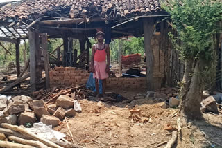 12 elephants broke up houses and thrashed crops in Koylibeda in Gariaband