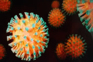 Two more police officers tested positive for coronavirus