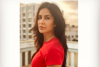 Katrina kaif will help to victims of domestic violence shared instagram post