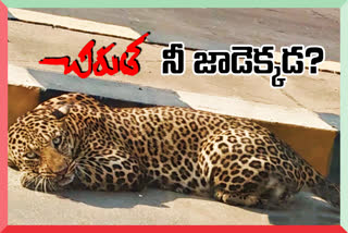 operation cheetah in hyderabad