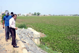 nirmal district collector visited dharmasagar pond