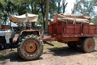 Tractor full of Berries wood seized in Balaghat