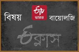 etv bharat e class subject biology